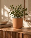 Terra Form Planter